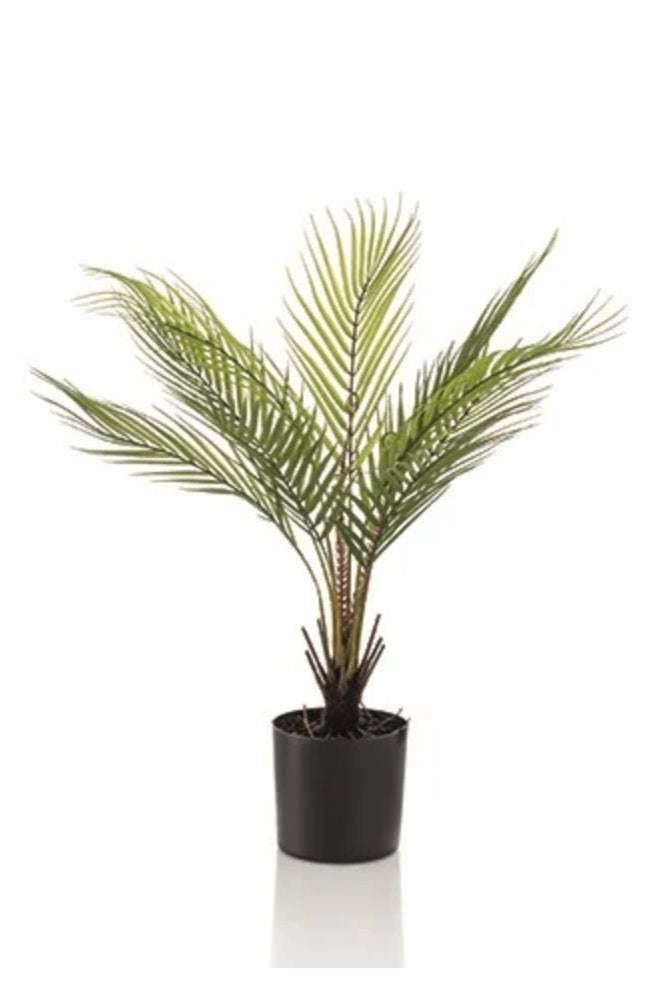 Nieuwe Chamaedorea Palm kunstplant 50 cm – natuurgetrouw, Ophalen, Groen, Kunstplant, Nieuw