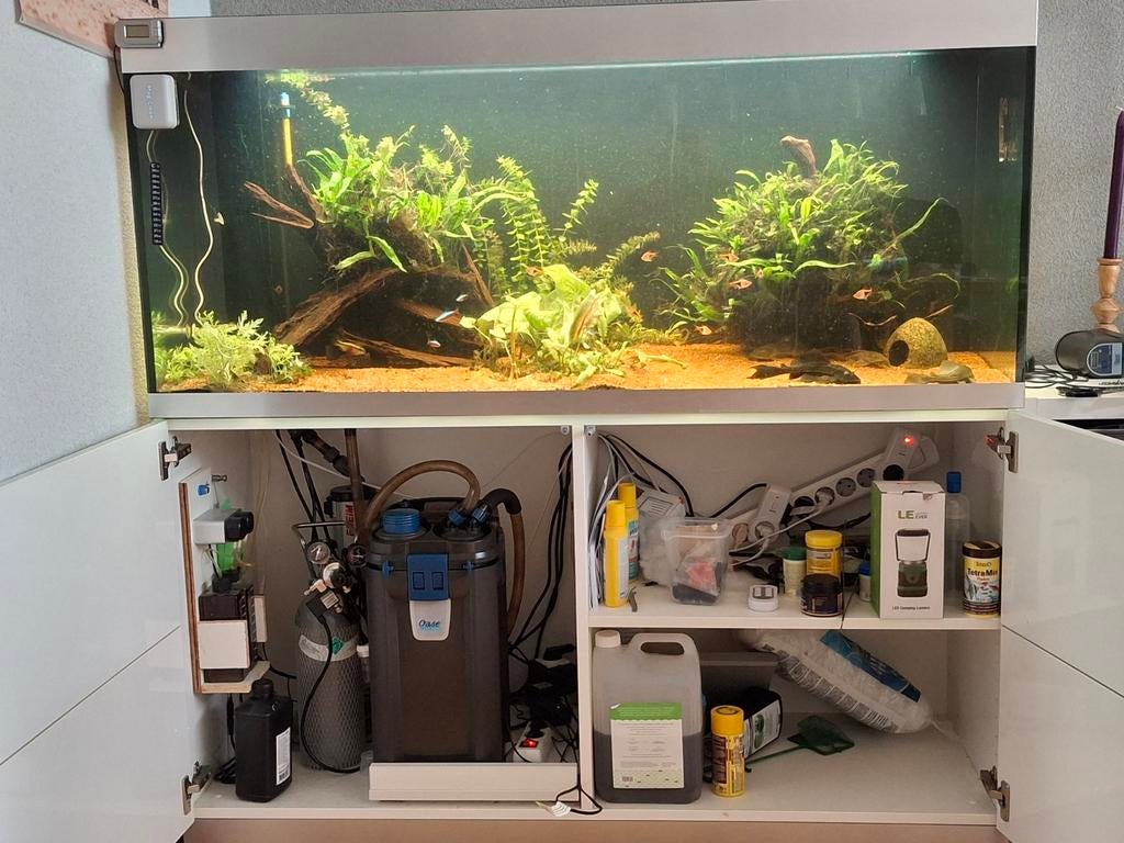 Compleet Oase highline 400 aquarium met witte kast., Ophalen, Zo goed als nieuw, Gevuld zoetwateraquarium