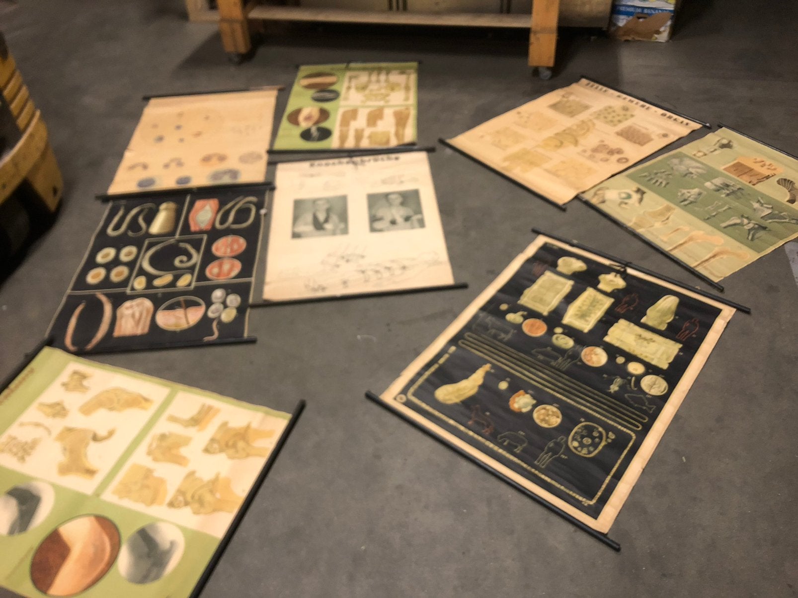 Collectie oude schoolplaten - 8 stuks, Antiek en Kunst, Ophalen