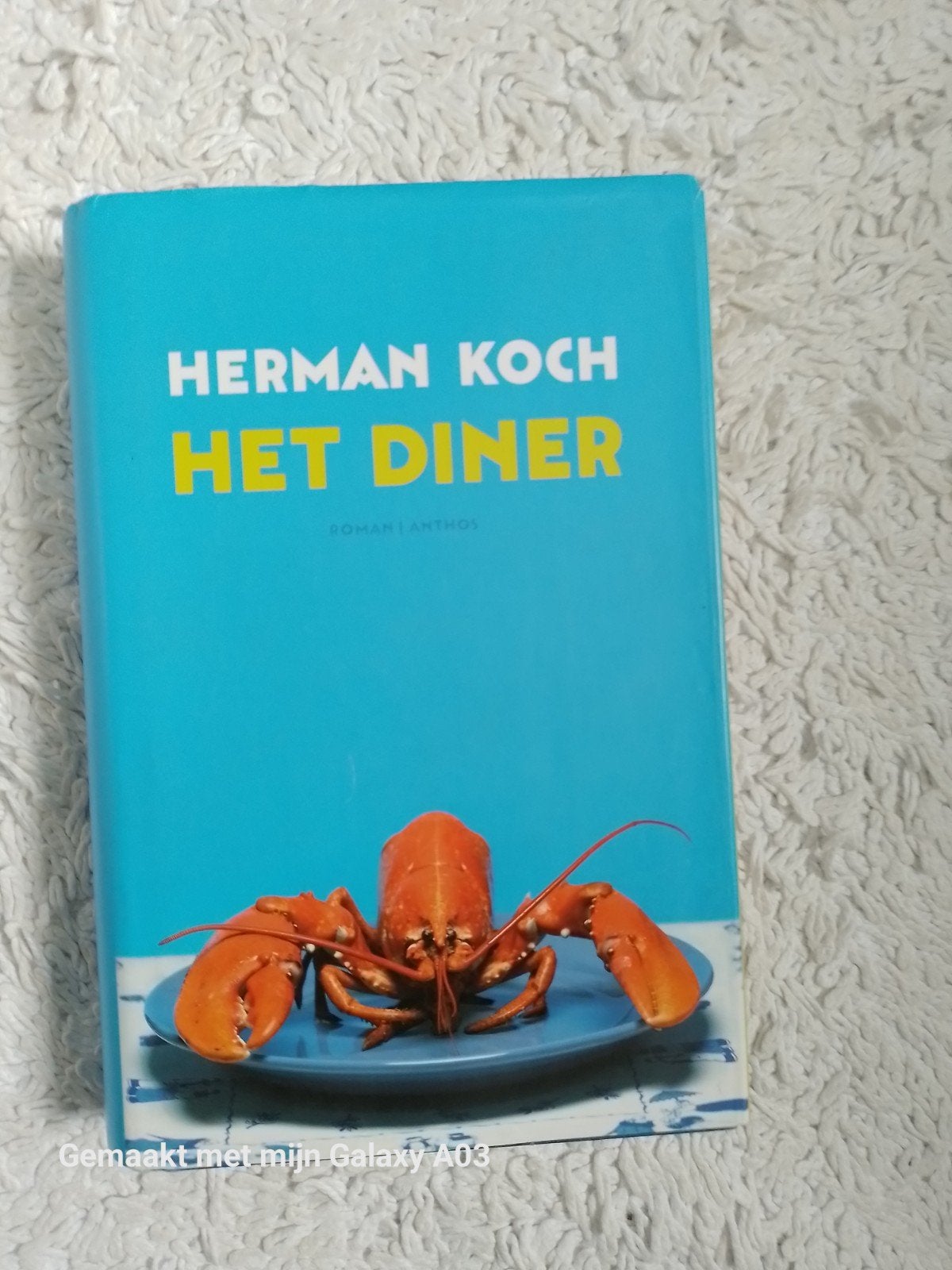 Het Diner - Herman Koch (Roman), Boeken, Ophalen of Verzenden, Zo goed als nieuw, Herman Koch