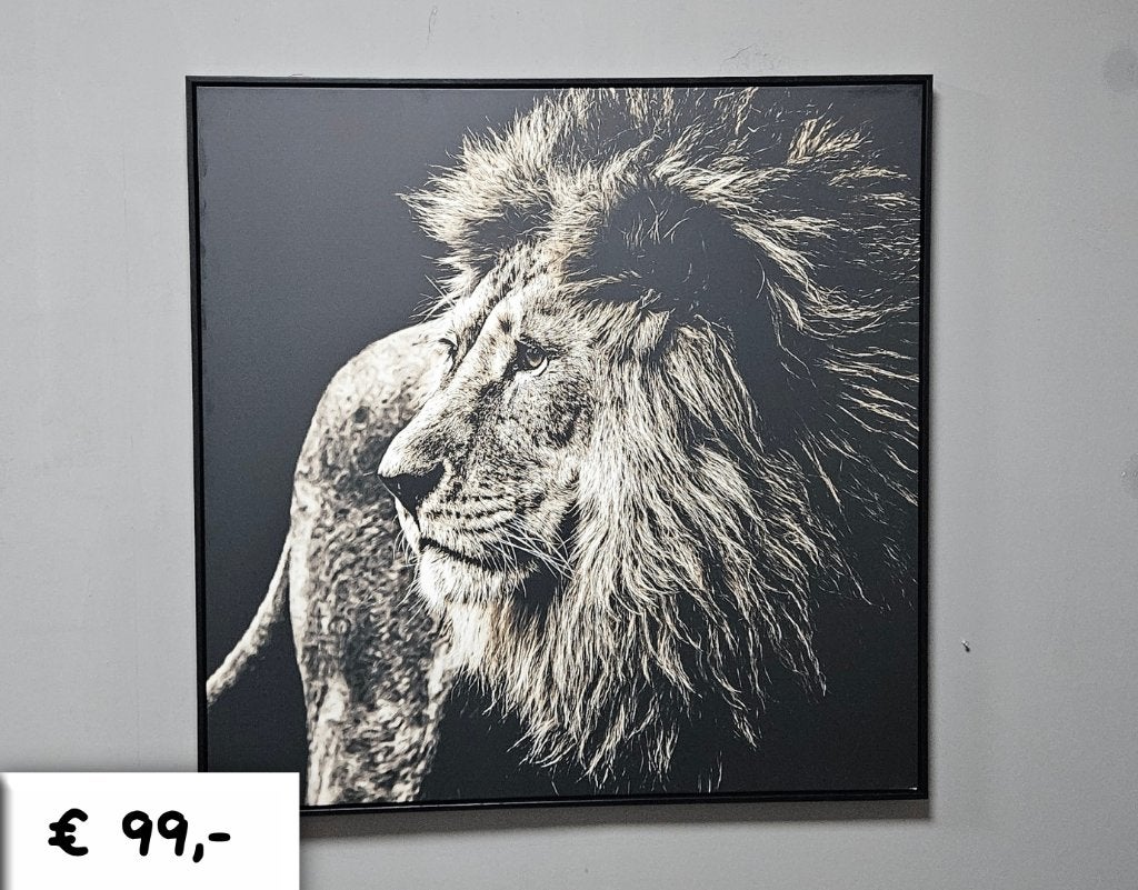 Schilderij Leeuw Zwart – wit met lijst - 100x100 cm, Ophalen, Overwijk Decoratie B.V. / Swiet Home, Nieuw, Info@overwijkdecoratie.nl