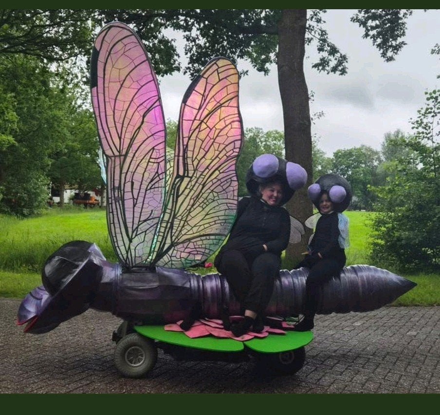 Feestwagen praalwagen optocht, Eén persoon
