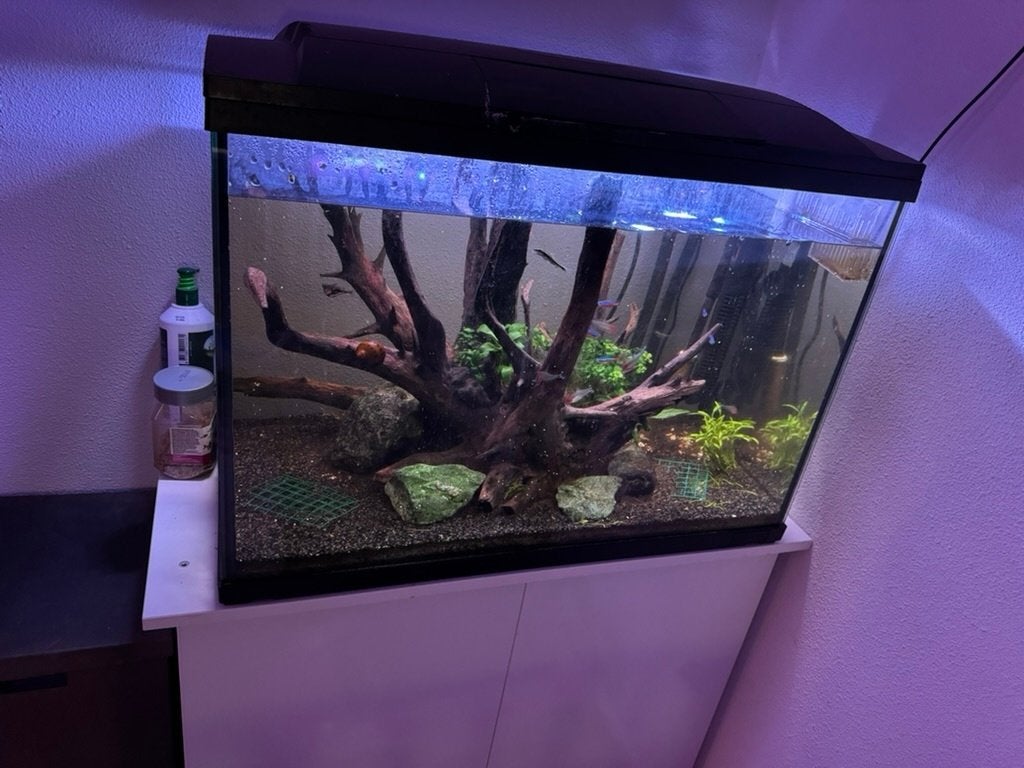 Aquarium 90 liter + toebehoren, Ophalen, Gebruikt, Gevuld zoetwateraquarium, Inclusief controller