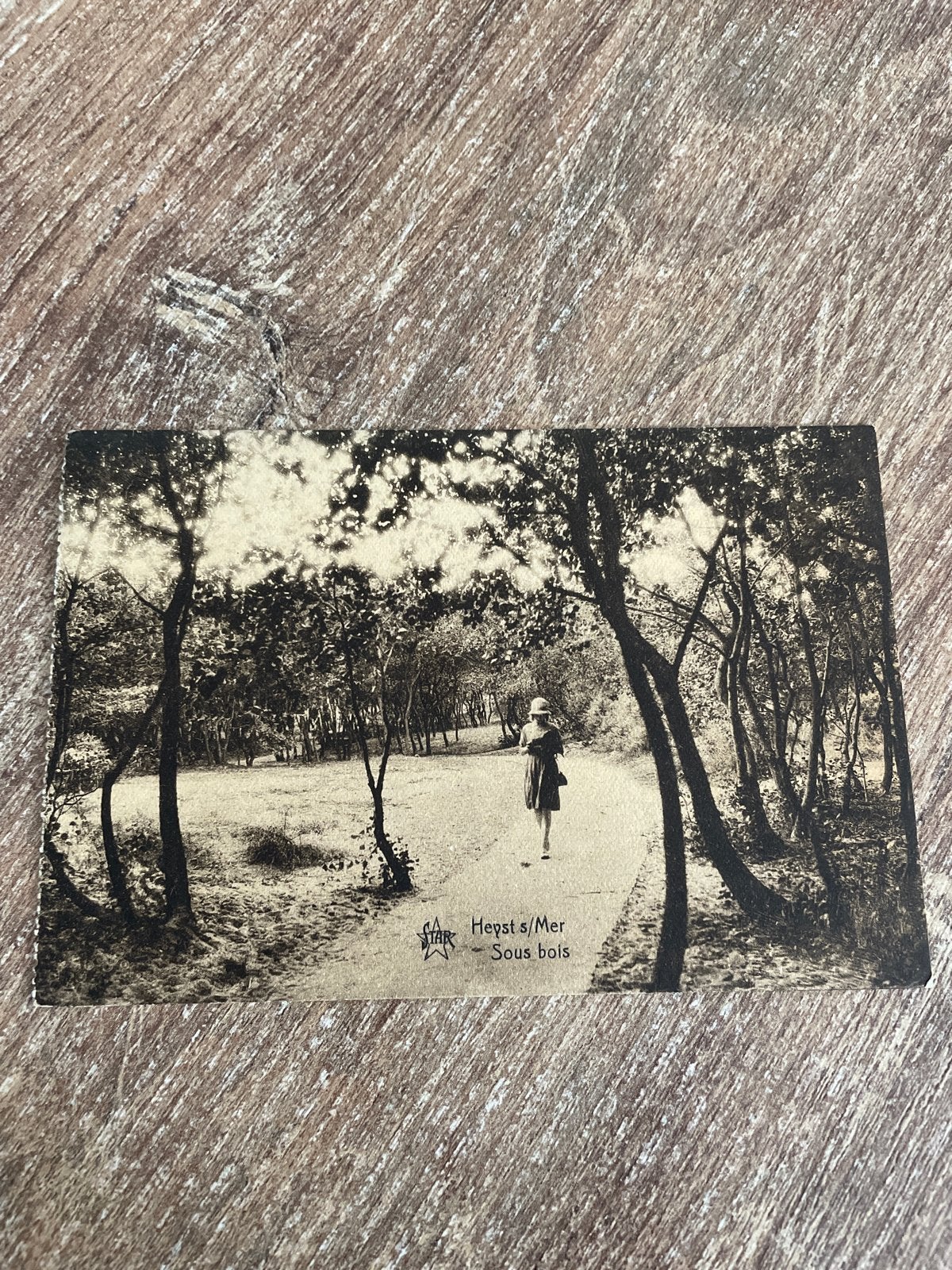 Oude Postkaart Heyst s/Mer Sous bois - Gelopen, Ophalen of Verzenden, 1920 tot 1940, Gelopen, West-Vlaanderen