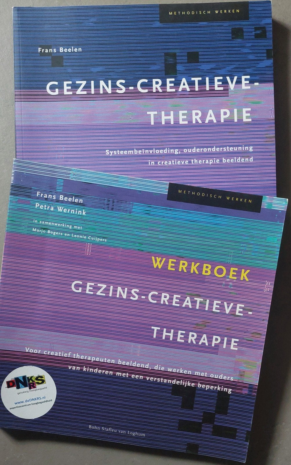 Gezins-Creatieve Therapie & Werkboek - Frans Beelen, Zo goed als nieuw, Frans Beelen, Gamma, HBO