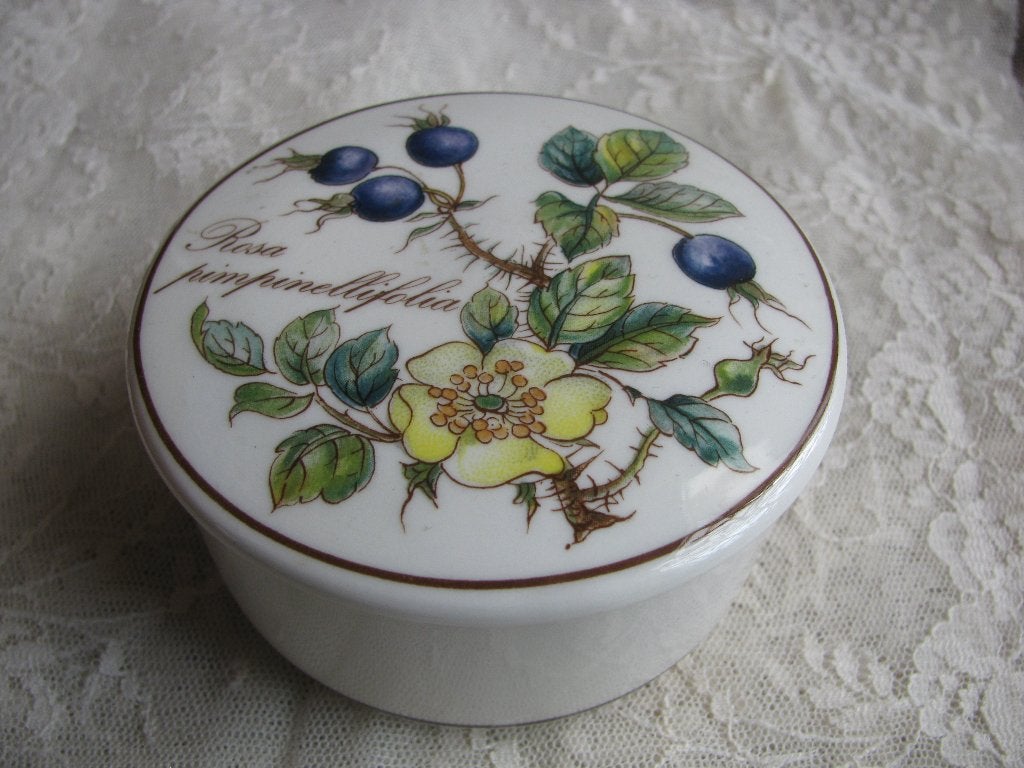 Vintage Villeroy & Boch Botanica Rosa Pimpinellifolia Doosje, Verzenden
