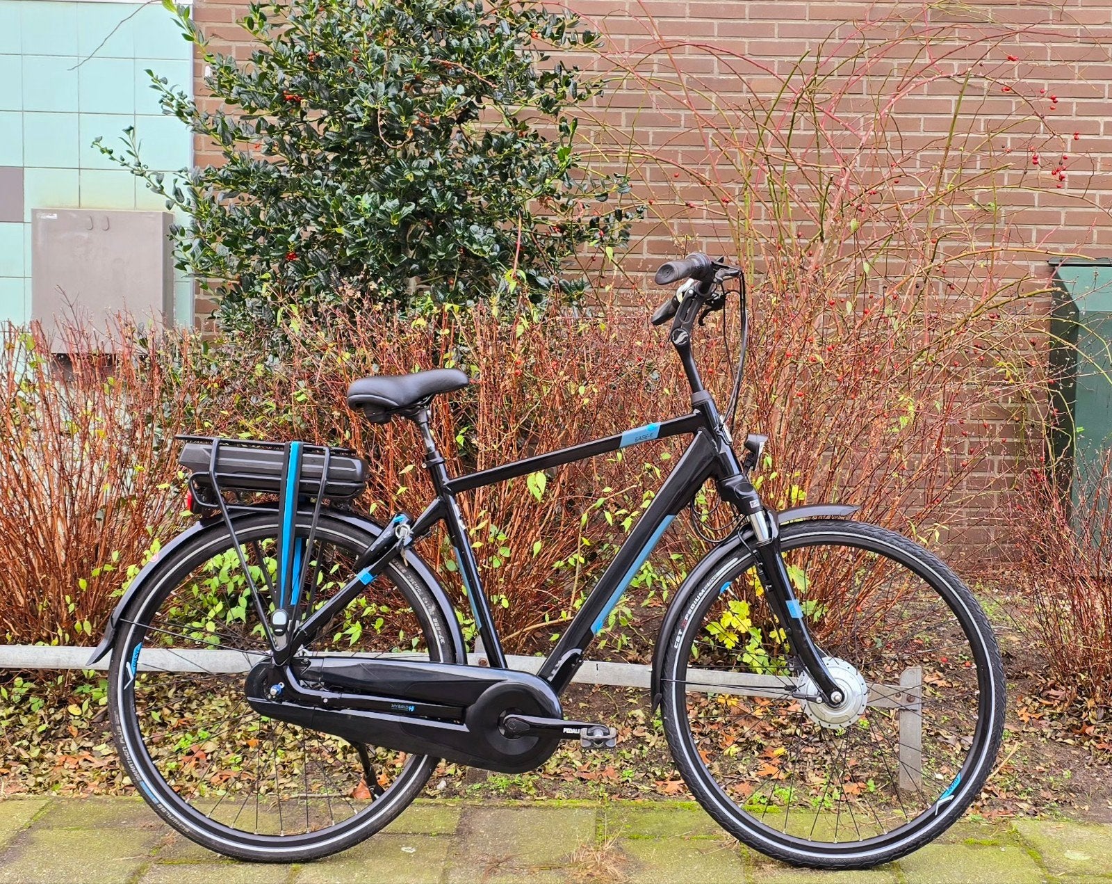 Slechts 1211km! Giant Easy elektrischefiets, Fietsen en Brommers, Elektrische fietsen, 55 tot 59 cm, Ophalen, Zo goed als nieuw
