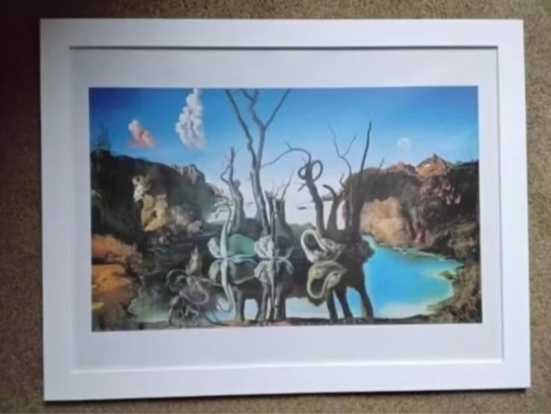 Ingelijste poster van Dali 'zwanen reflecteren olifanten', Ophalen, Met lijst, Rechthoekig Liggend, Zo goed als nieuw