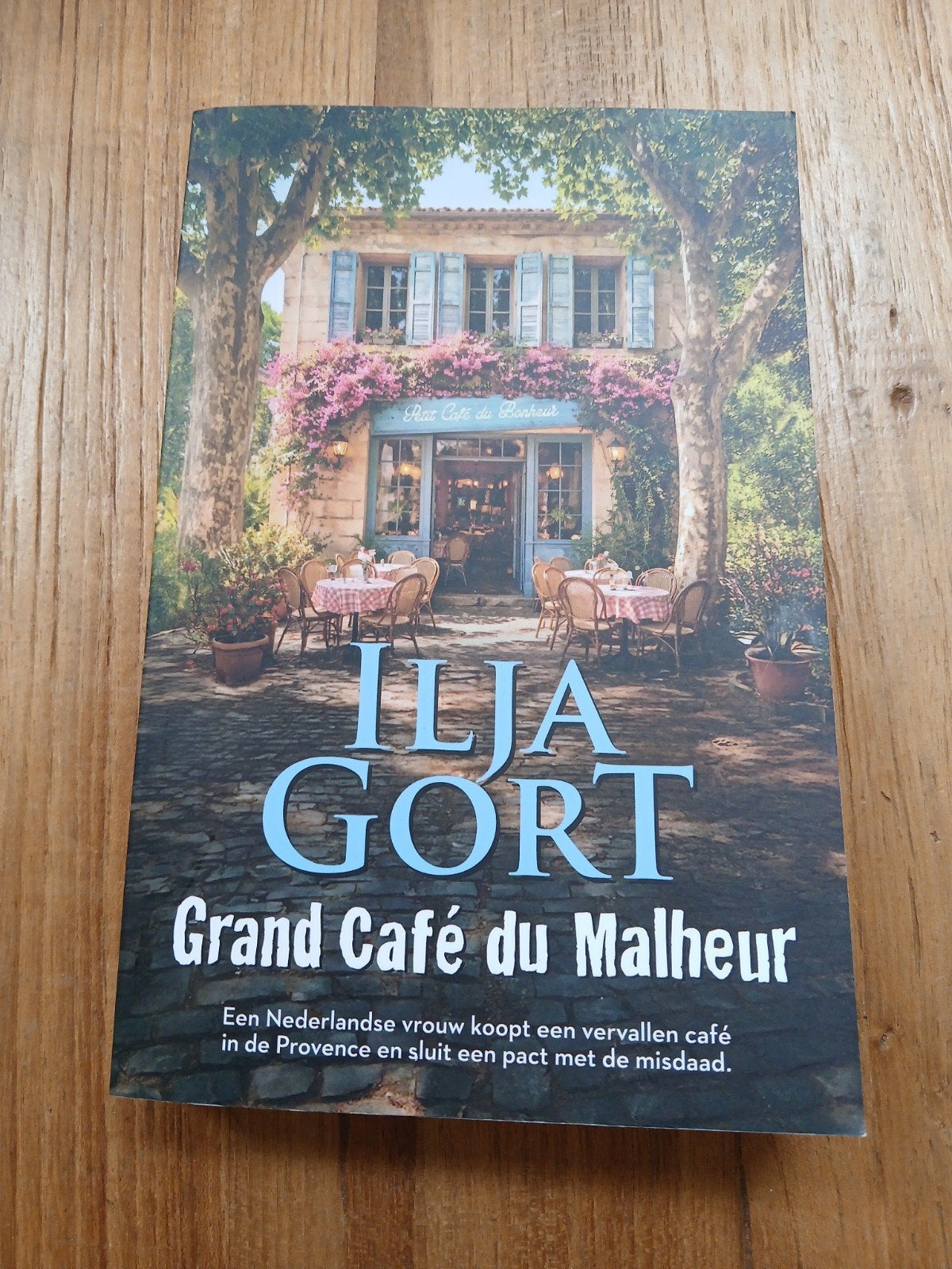 Ilja Gort - Grand Café du Malheur, Ophalen, Zo goed als nieuw, Nederland, Ilja Gort