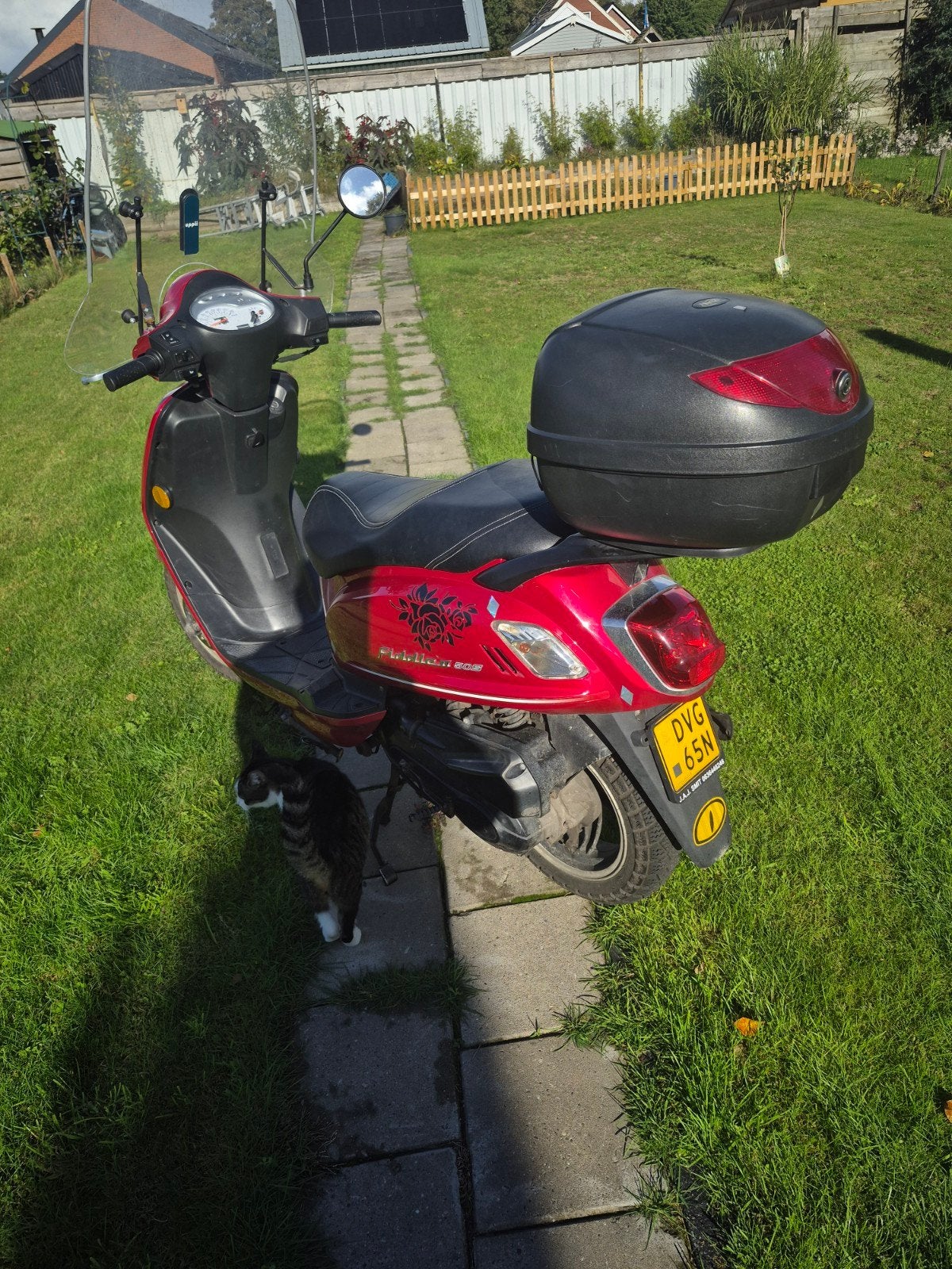 Sym Fiddle 2 scooter - Rood, inclusief windscherm en topkoff, Gebruikt, Maximaal 45 km/u, Ophalen of Verzenden, Benzine