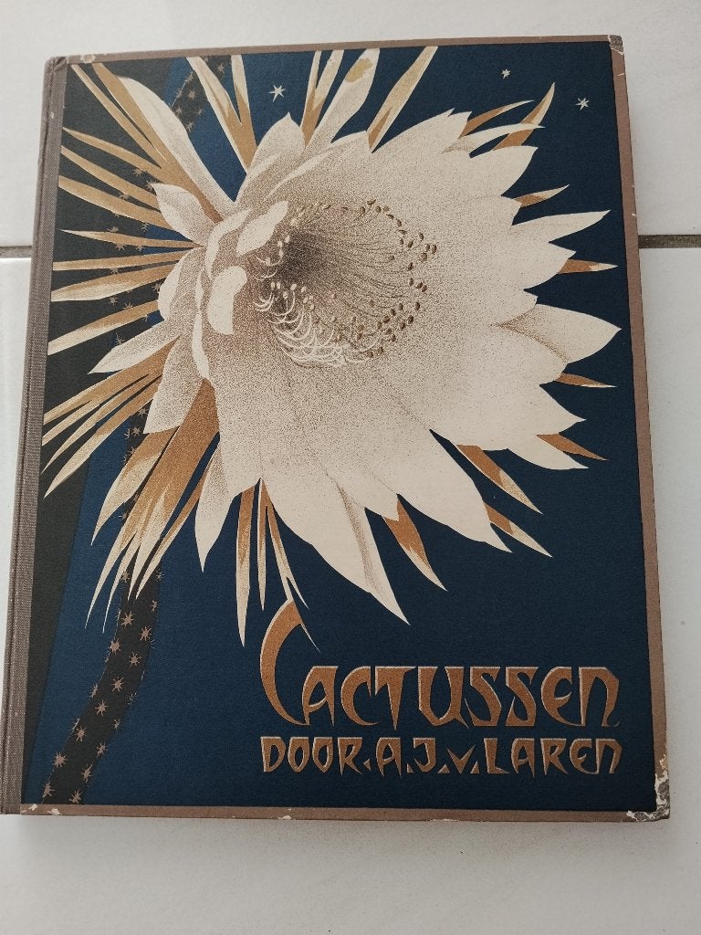 Cactussen plak / Verkade plaatjes boek 1931, Ophalen of Verzenden, Gelezen, Bloemen, Planten en Bomen