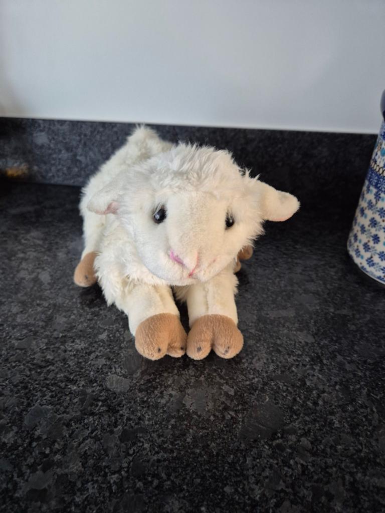EIFA QUAKENBRUECK - Knuffel Schaap, Ophalen of Verzenden, Overige typen