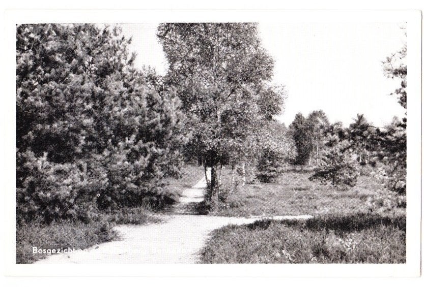 Bennekom Hullenberg Oude Ansichtkaart ( 1569 ), Ophalen of Verzenden, 1960 tot 1980, Gelopen, Gelderland