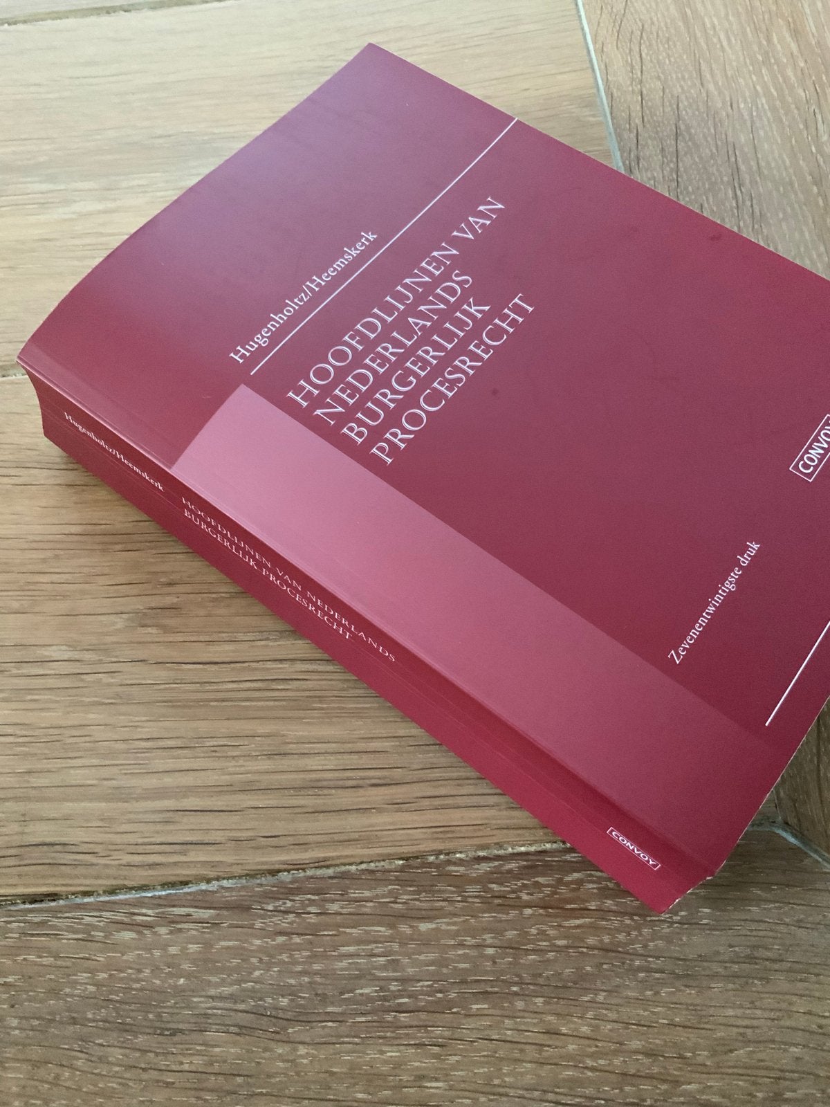 Hoofdlijnen Nederlands Burgerlijk Procesrecht, Boeken, Studieboeken en Cursussen, Ophalen of Verzenden, Gamma, Zo goed als nieuw