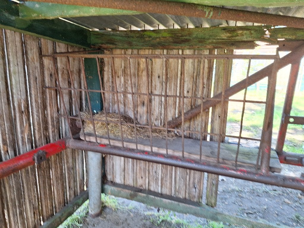 Schuilstalletje, Meerdere dieren, Schaap