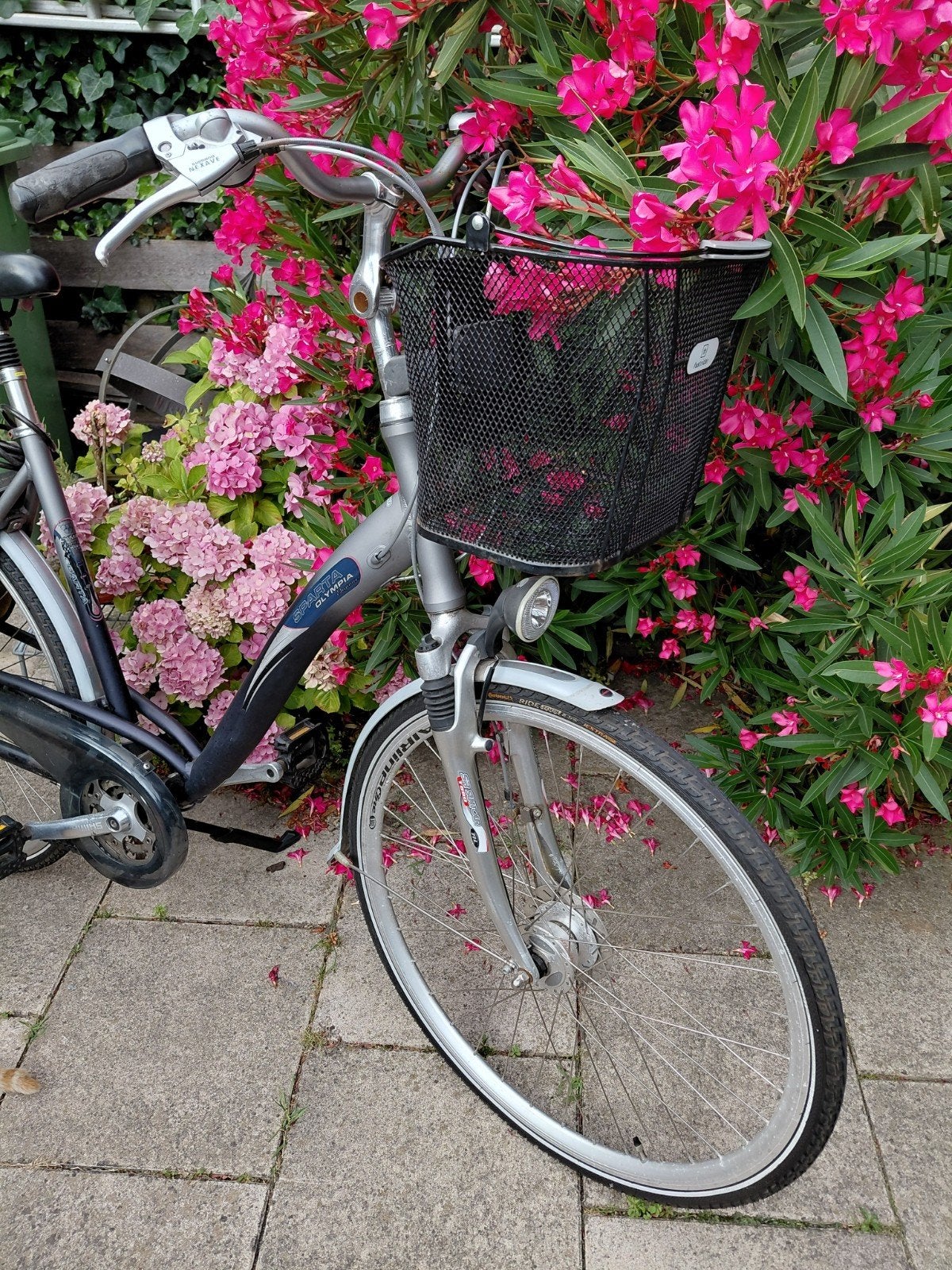 Sparta Olympia damesfiets, Ophalen, Sparta, 53 tot 56 cm, Versnellingen