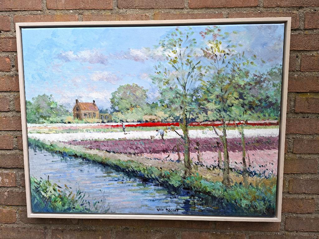VAN NOORT, BOLLENVELD TE HILLEGOM, Antiek en Kunst, Ophalen of Verzenden