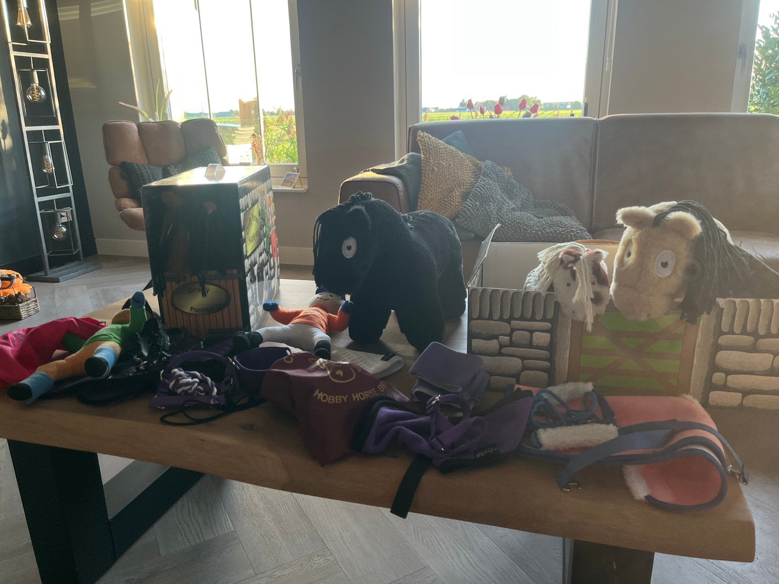 Mooie complete set Crafty ponies, Ophalen of Verzenden, Zo goed als nieuw, Paard, Met kleding of accessoire