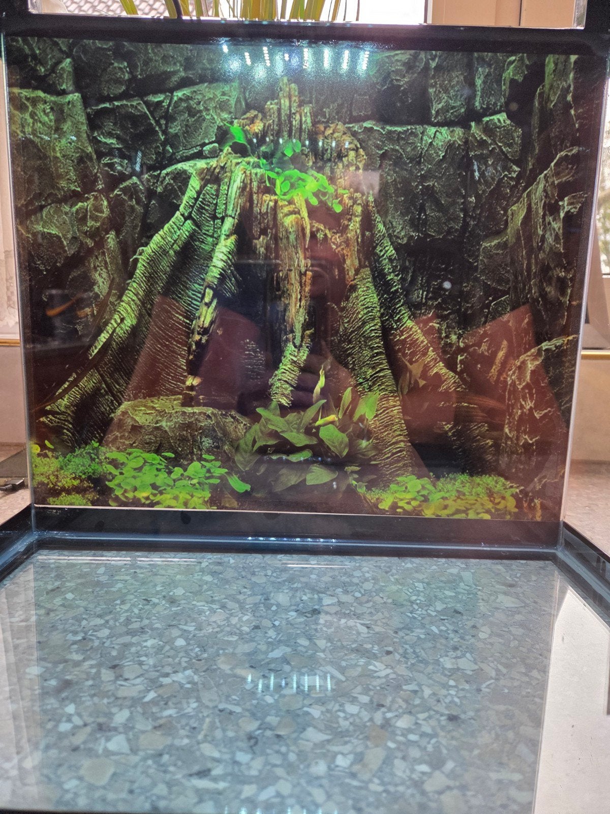aquarium panorama 35 liter, Ophalen, Zo goed als nieuw, Leeg aquarium