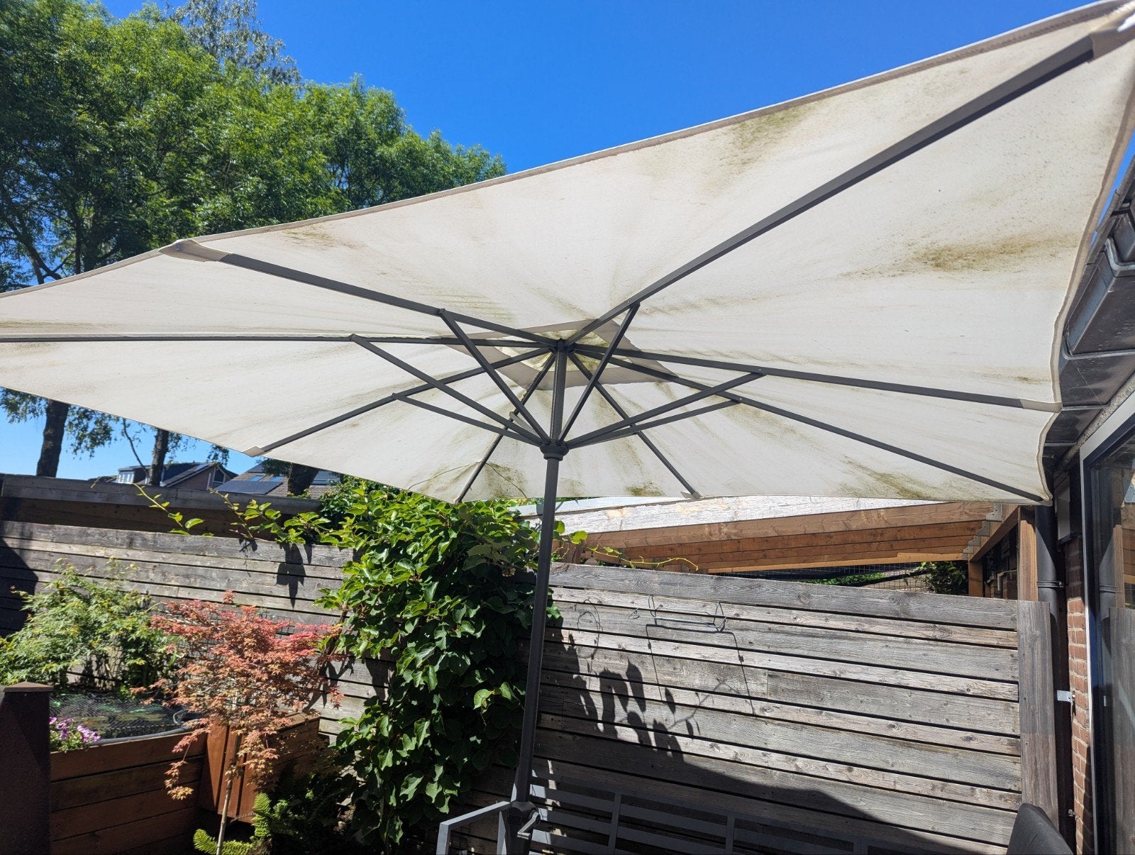Gebruikte parasol 2,5x2,5m, Ophalen of Verzenden, Gebruikt, 2 tot 3 meter, Stokparasol
