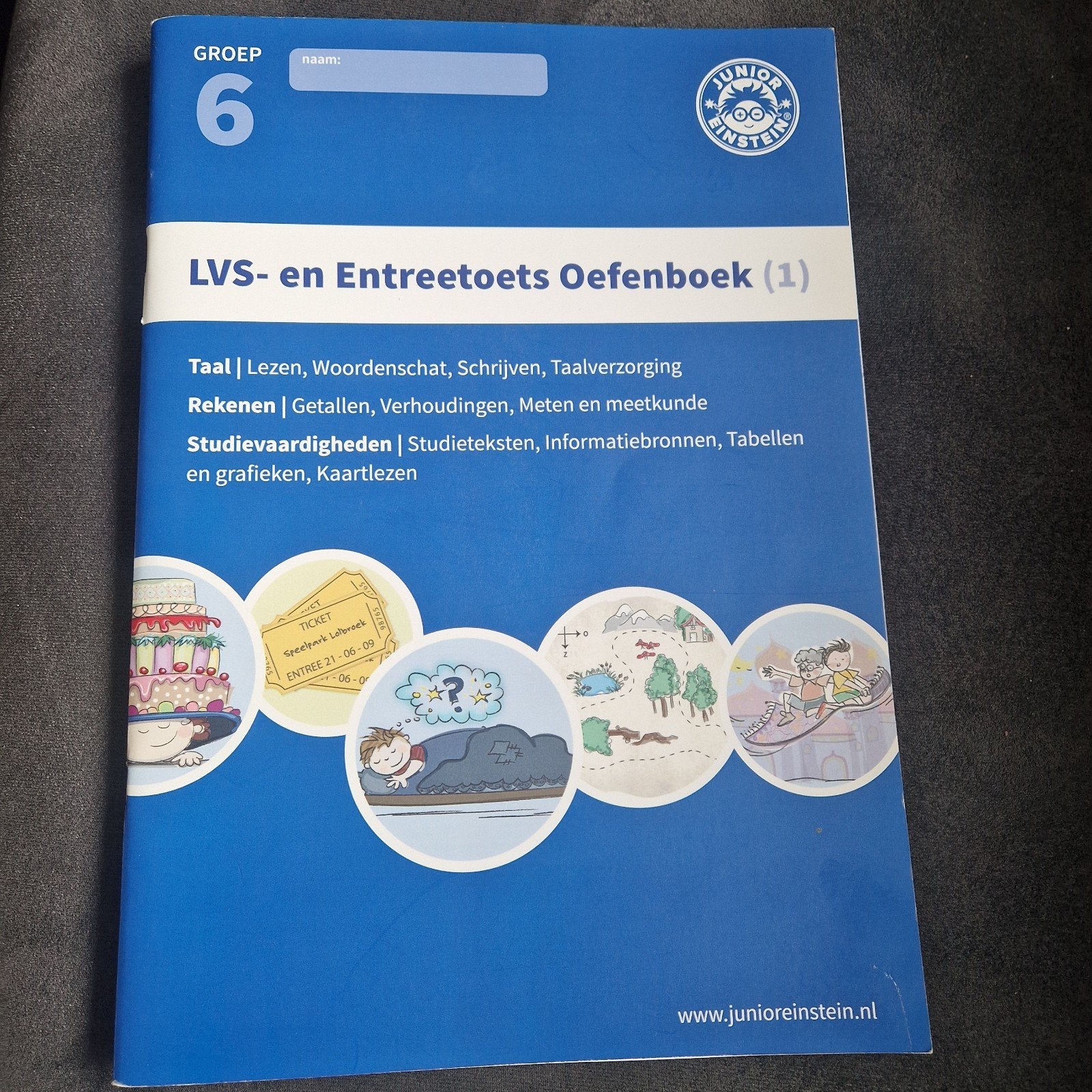Junior Einstein LVS- en Entreetoets Oefenboek Groep 6, Junior Einstein, Ophalen of Verzenden, Zo goed als nieuw, Nederlands
