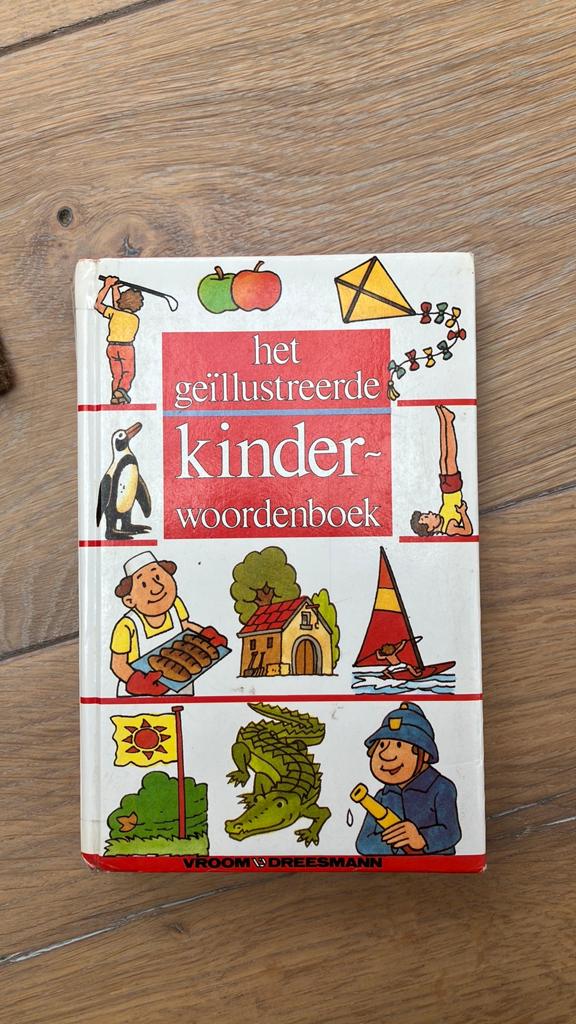 Het Geïllustreerde Kinderwoordenboek - Vroom & Dreesmann, Boeken, Ophalen of Verzenden, Gelezen, Non-fictie