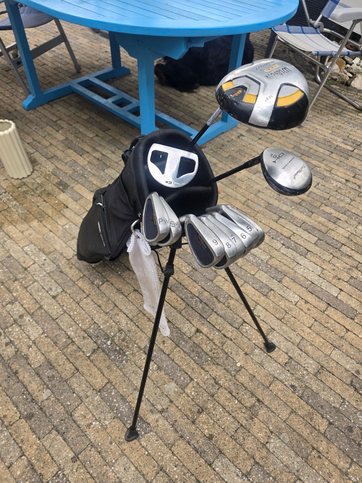 Linkshandige dames of beginner golfset met Wilson driver, Sport en Fitness, Ophalen, Gebruikt, Set, Overige merken