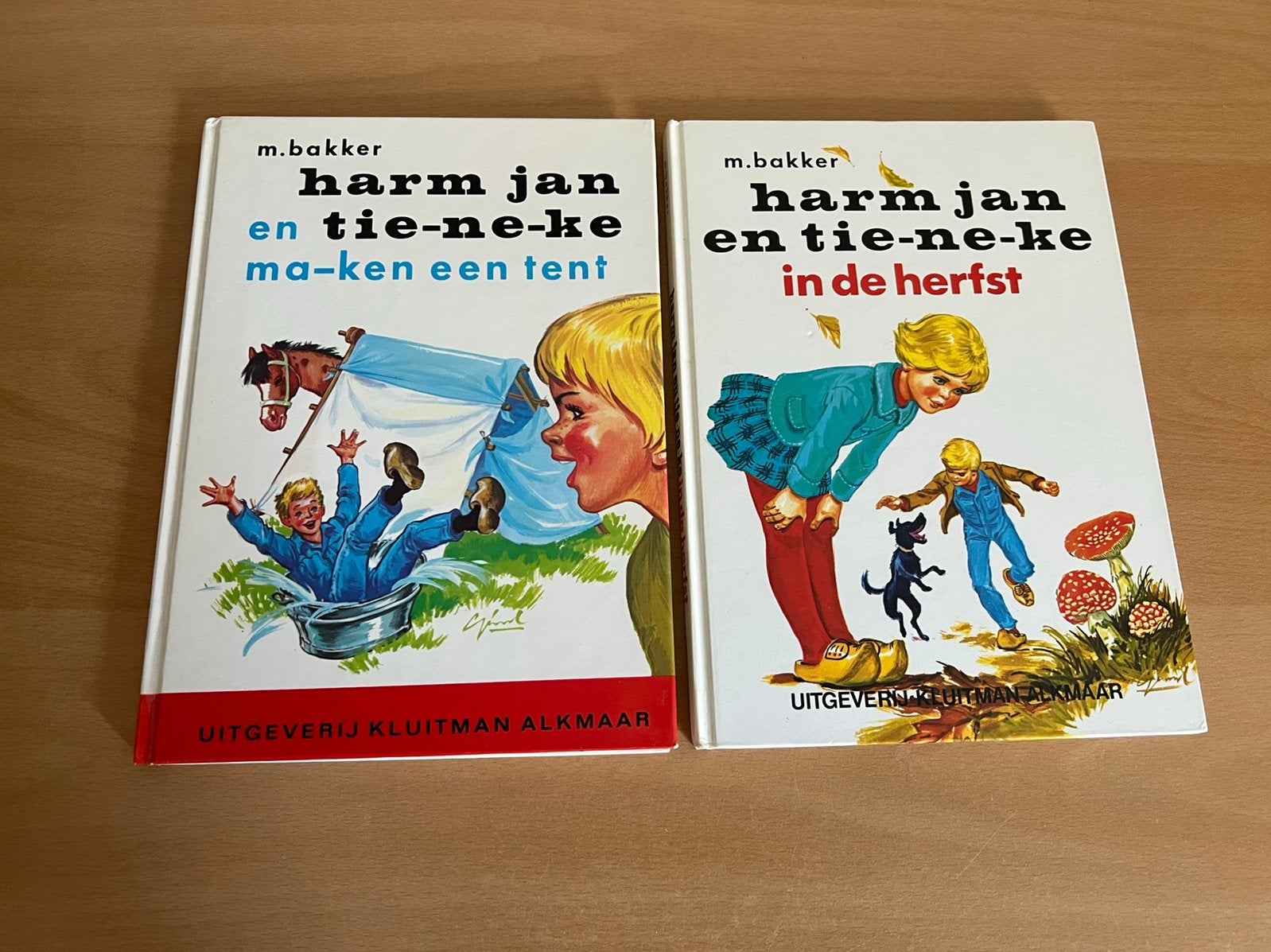 Harm jan en tieneke maken een tent ea, Boeken, Ophalen of Verzenden, Fictie algemeen