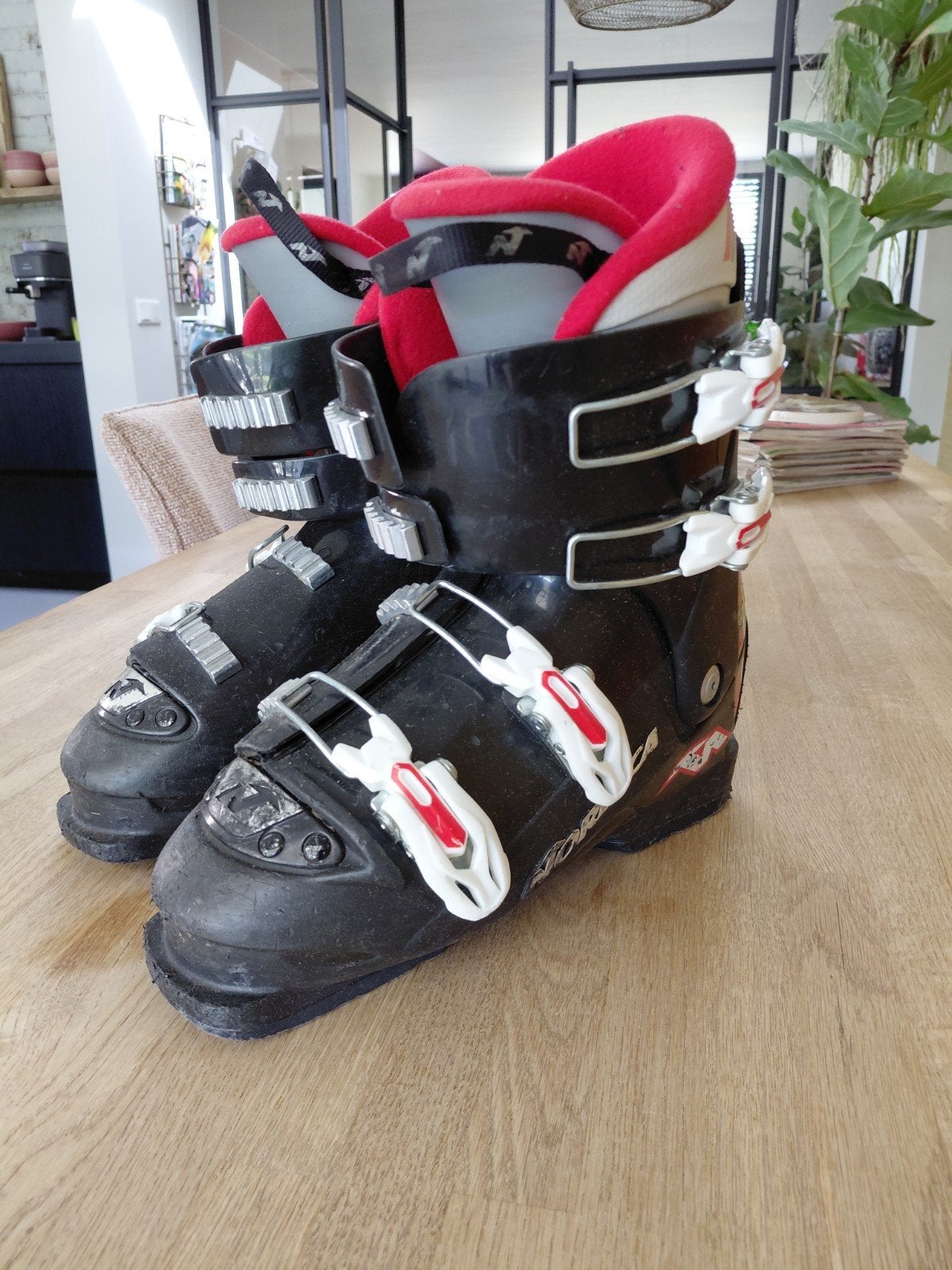 Nordica skischoenen - Maat 25.0-25.5 (290 mm), Ophalen, Gebruikt, Schoenen, Nordica
