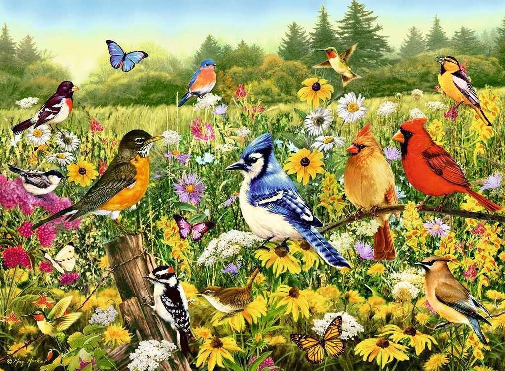 Ravensburger legpuzzel nieuw 500 stukken Vogels in de wei, Ophalen, 500 t/m 1500 stukjes, Nieuw, Legpuzzel