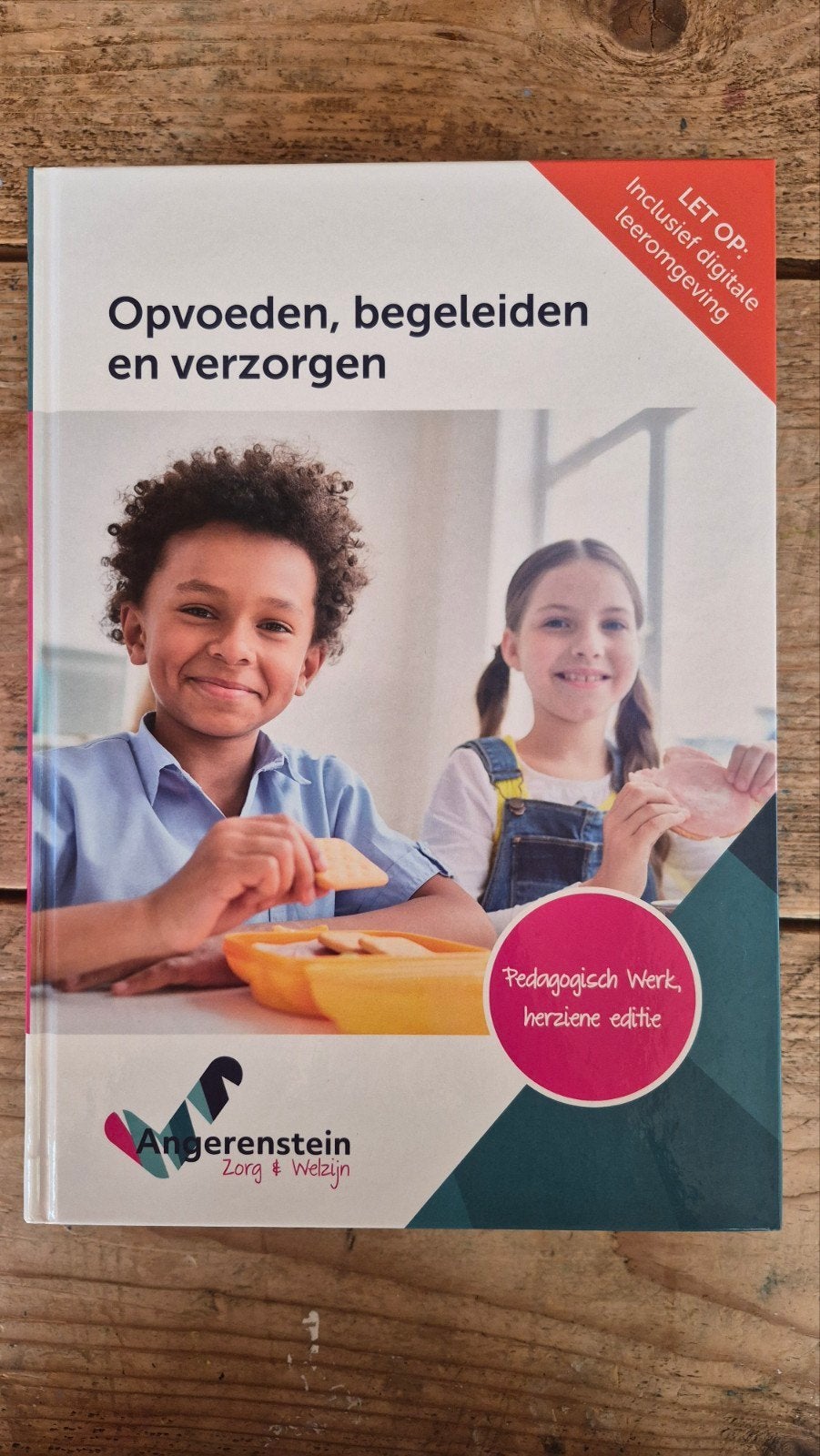 Opvoeden, begeleiden en verzorgen - Pedagogisch Werk, Boeken, Ophalen of Verzenden, Zo goed als nieuw, MBO, Angerenstein Zorg & Welzijn