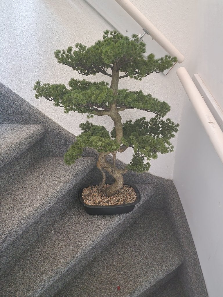Kunst bonsai-boompje, Ophalen, Zo goed als nieuw