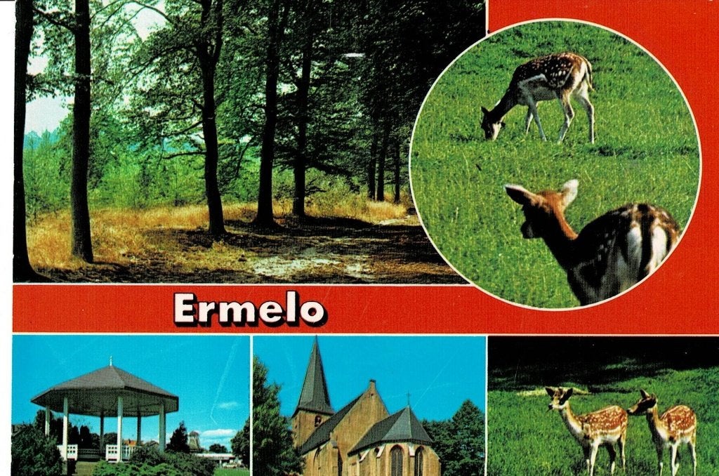 Ermelo, Ophalen of Verzenden, 1960 tot 1980, Gelopen, Gelderland