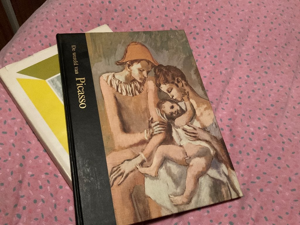 Picasso, Ophalen of Verzenden, Zo goed als nieuw, Overige onderwerpen