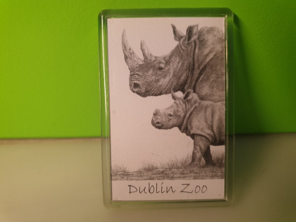 Magneet - Dublin Zoo (neushoorn) Ierland, Ophalen of Verzenden, Zo goed als nieuw