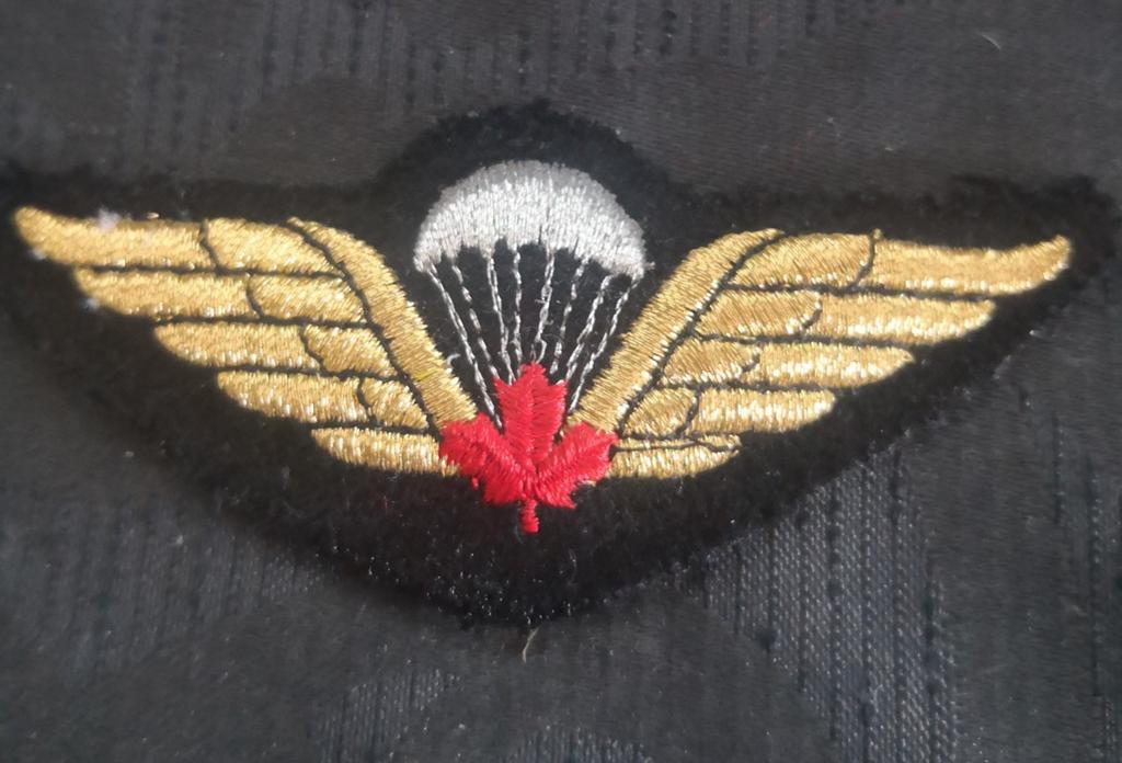 Candese vlieger wing, Verzenden, Landmacht, Nederland, Embleem of Badge