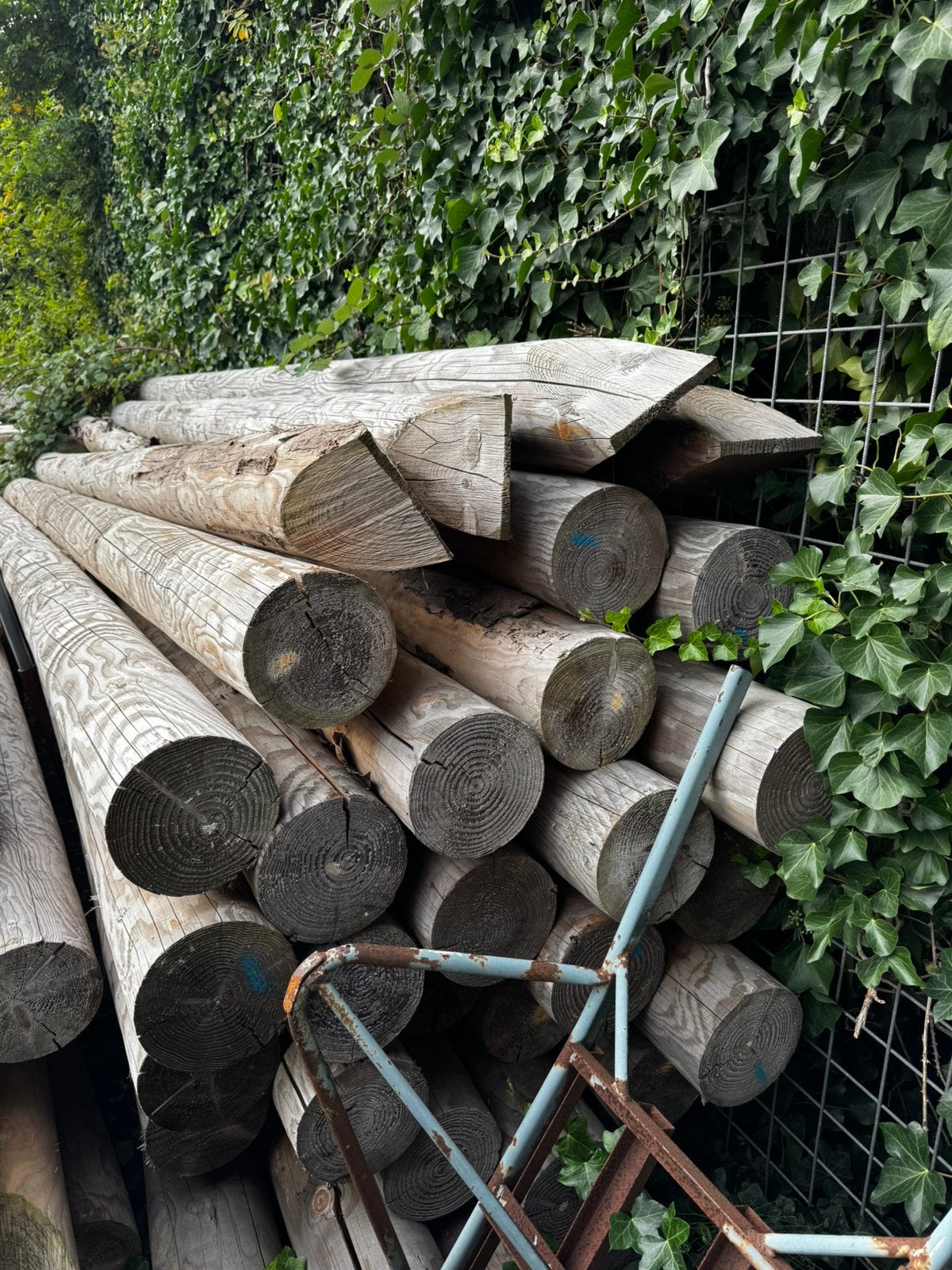 Ge cilinderpalen houten palen kastanjehout, Ophalen, Zo goed als nieuw, 250 cm of meer, Palen