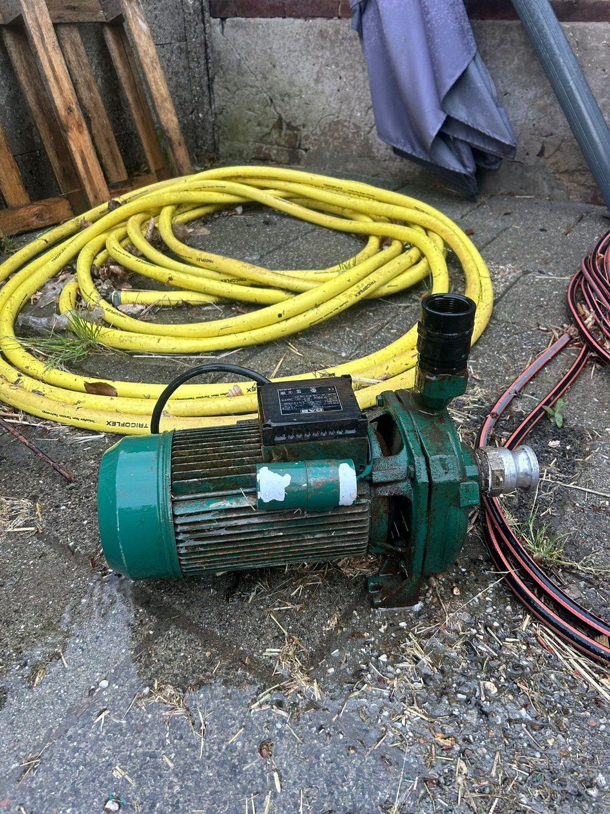 DAB k36/100m beregeningspomp, Ophalen, Gebruikt, Elektrisch, Beregeningspomp