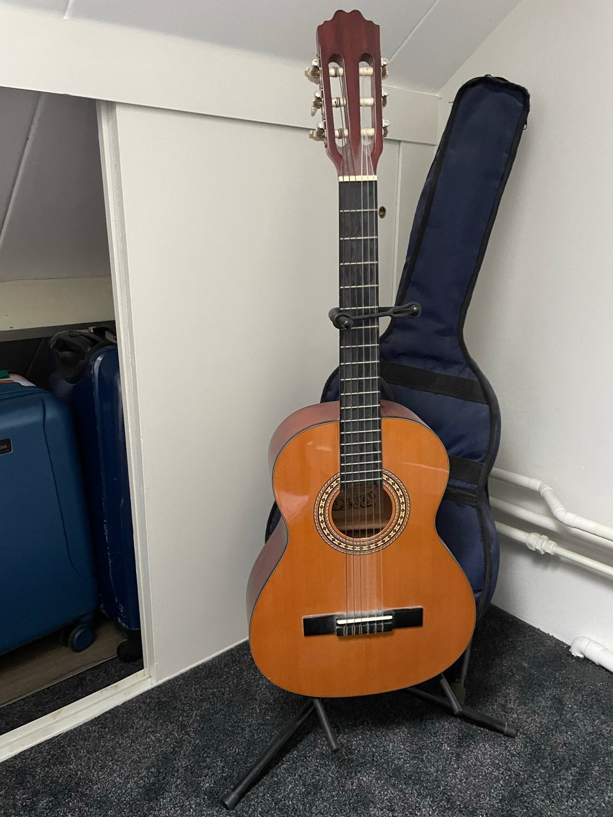 Motion kindergitaar, Ophalen, Gebruikt, Klassieke of Spaanse gitaar, Met koffer