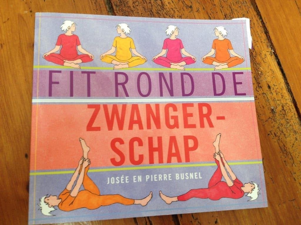 Fit rond de Zwangerschap - Josée en Pierre Busnel, Boeken, Zwangerschap en Bevalling, Ophalen of Verzenden, Zo goed als nieuw