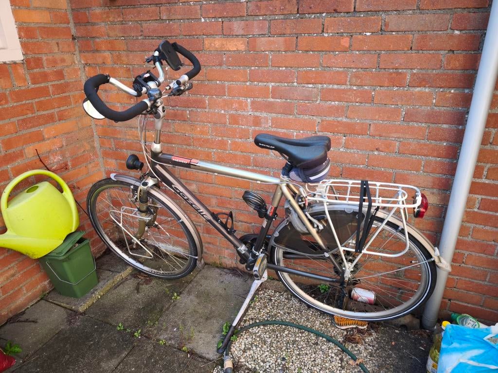Gazelle Hybride Fiets - Goede Staat, Fietsen en Brommers, Fietsen | Dames | Damesfietsen, Ophalen, Gebruikt, Versnellingen, 56 cm of meer