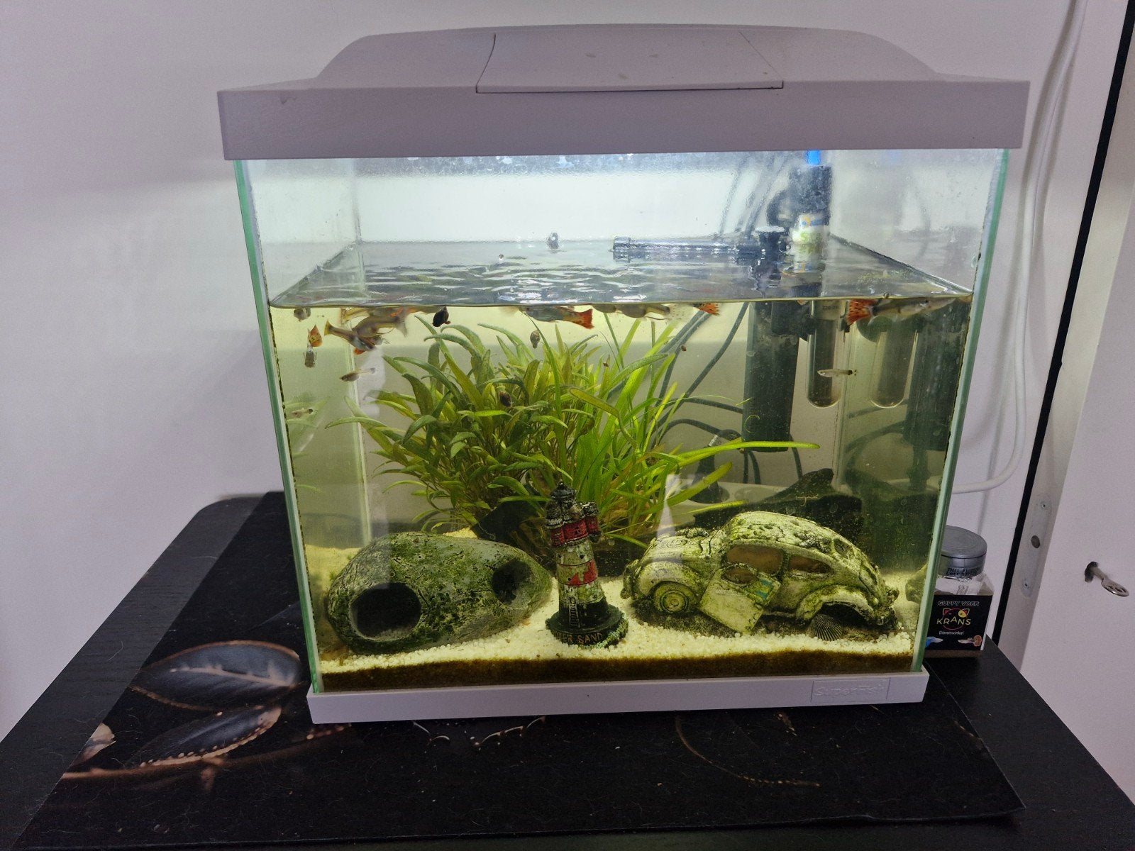 aquarium met guppies, Ophalen, Inclusief vissen, Superfish, Gevuld zoetwateraquarium