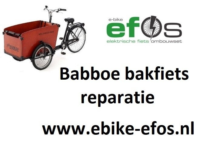 Babboe bakfiets reparatie en elektrisch maken, Fietsen en Brommers, Fietsen | Bakfietsen, Overige merken, 4 kinderen of meer, Ophalen of Verzenden