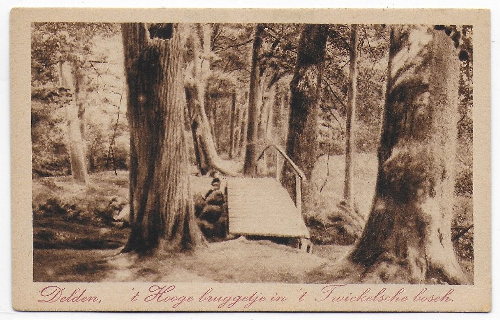 Delden Twickelse Bosch  ongelopen  Ansichtkaart ( B8374), Verzamelen, Ophalen of Verzenden, 1940 tot 1960, Gelopen, Utrecht
