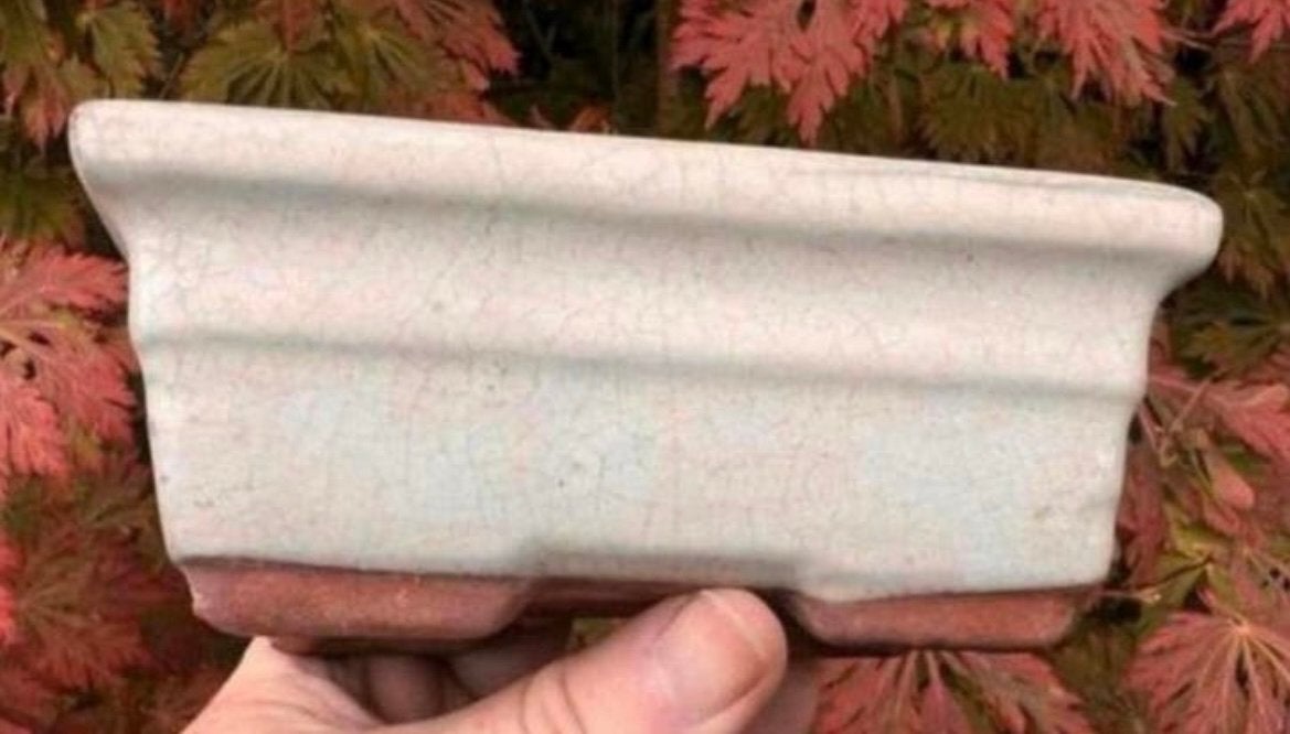 Bonsai schaal crème geglazuurd aardewerk 15,2x10,2x6,3, Tuin en Terras, Bloempotten, Ophalen of Verzenden, Zo goed als nieuw, Aardewerk