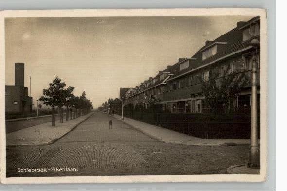 Schiebroek Eikenlaan met hond