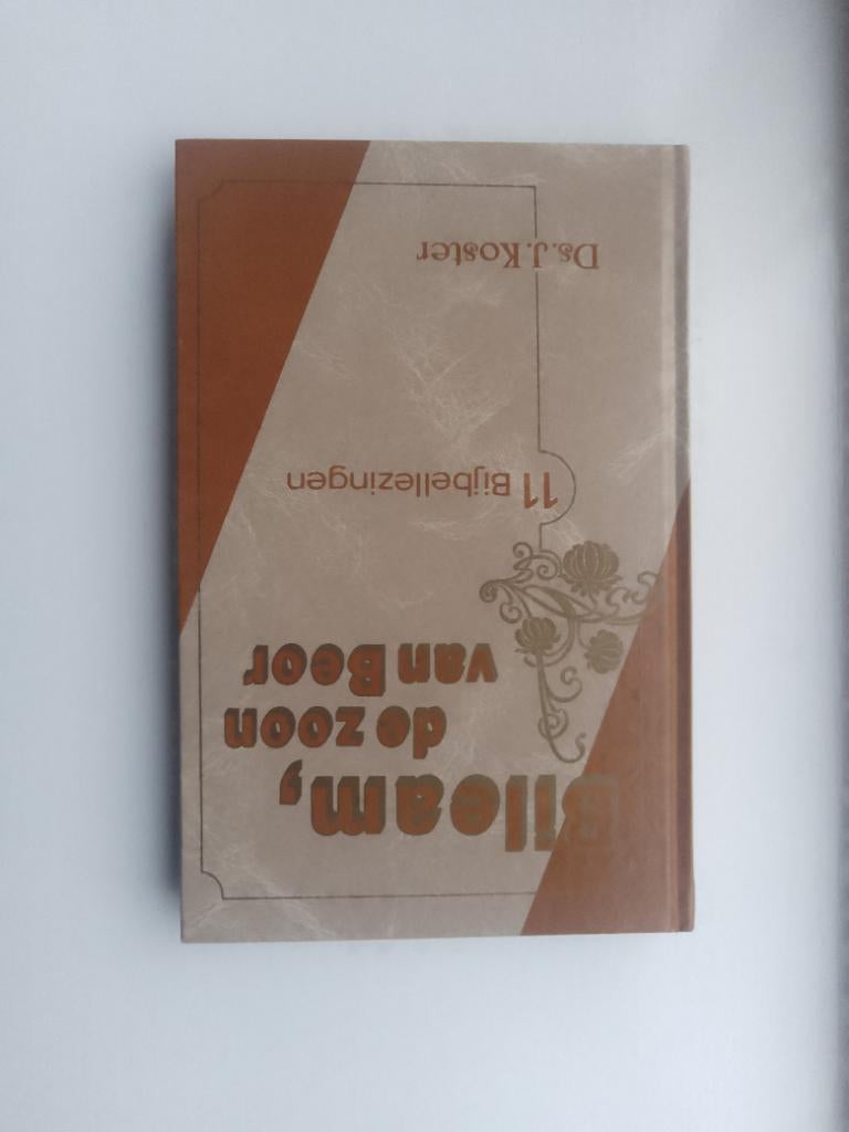 Bileam, de zoon van Boer - ds. J. Koster, Boeken, J. Koster, Christendom | Protestants, Ophalen of Verzenden, Zo goed als nieuw