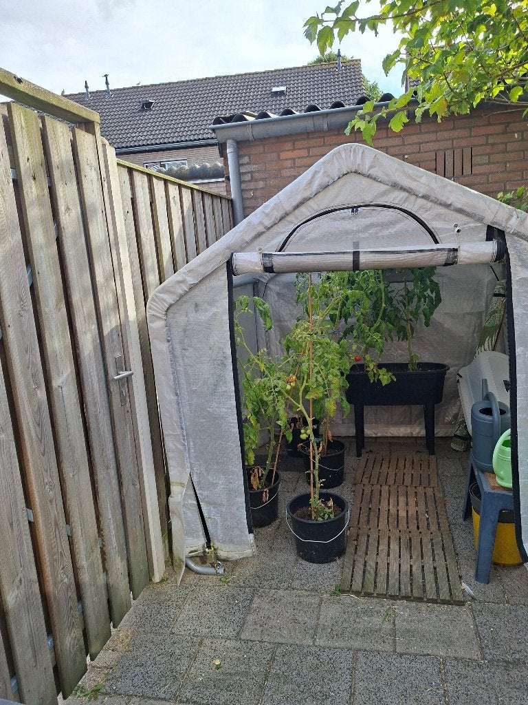 Kas, Tuin en Terras, Kassen, Ophalen, Gebruikt, Overige materialen, Kweekkas