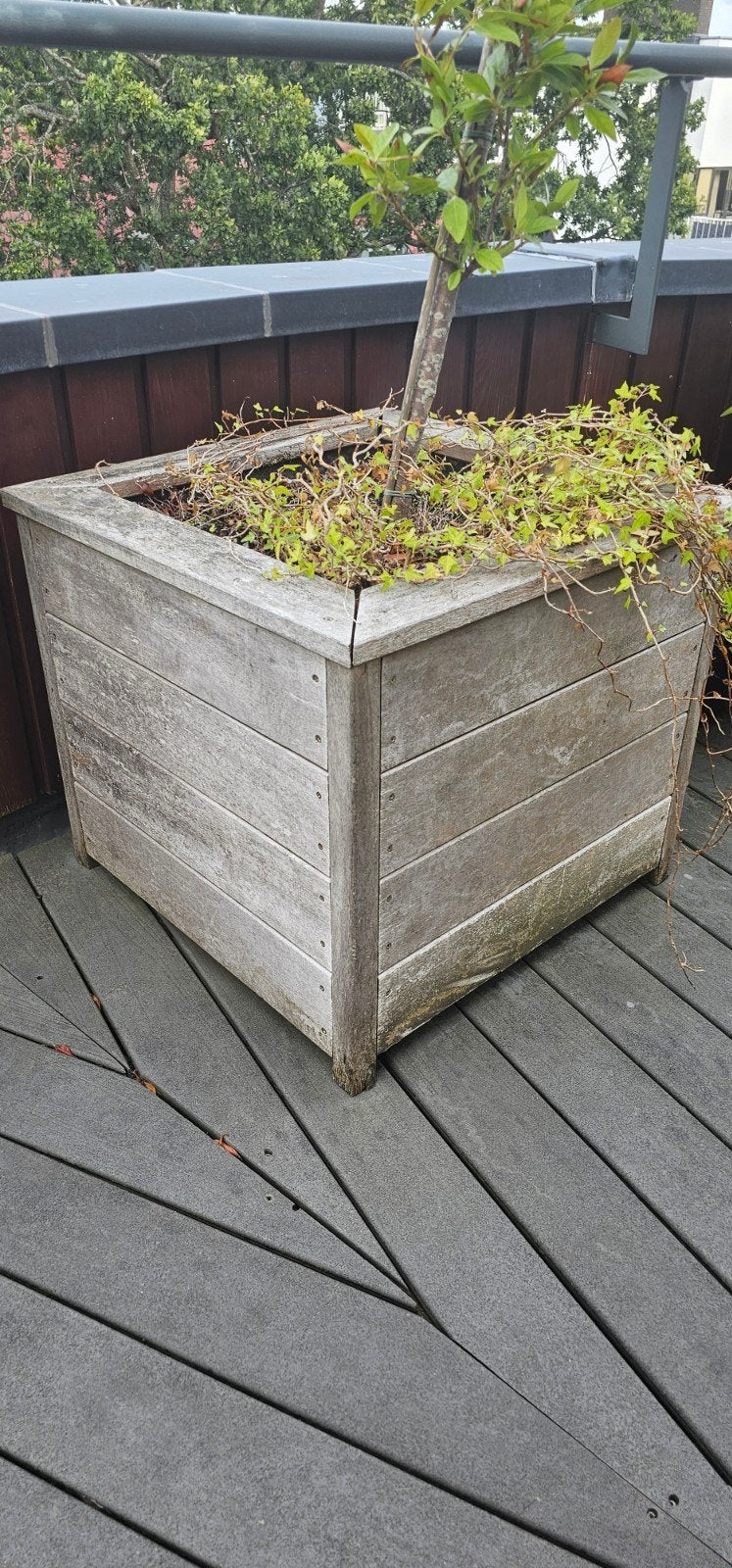 2x Grote Blank Eikenhouten Plantenbakken 60x60x60 cm, Tuin en Terras, Ophalen, Gebruikt, Vierkant, Balkon