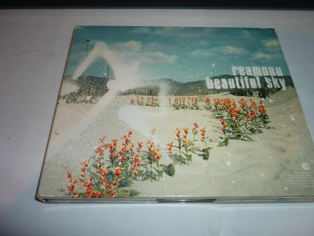 Reamonn de cd beautiful sky, Cd's en Dvd's, Verzenden, Zo goed als nieuw, Poprock